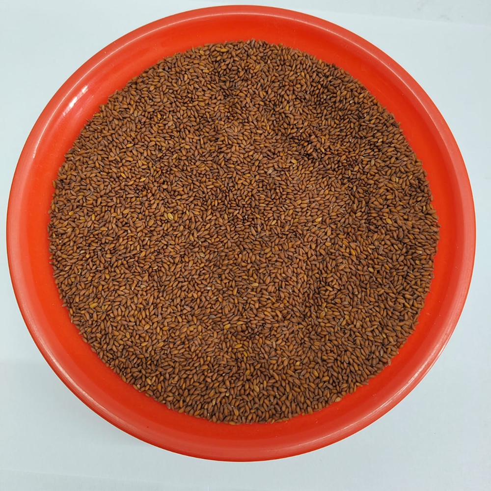 Halim Seed 250g